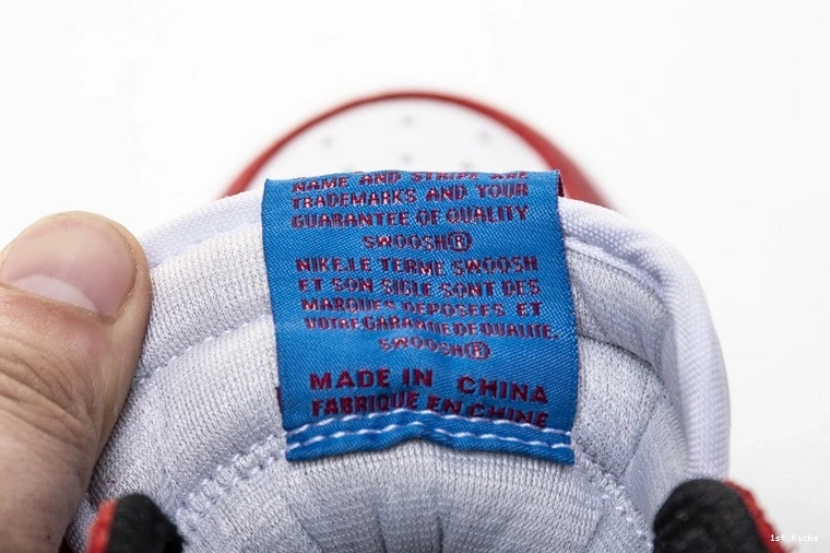 Man Air 555088-602 1 Jordan Spider 0410